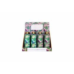 Bouteilles Isothermes Collection Oiseaux Colibri