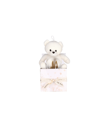 Coffrets Cadeaux Ours en Peluche et Boule à Neige