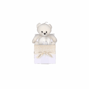 12 Coffrets ours en peluche et boules à neige