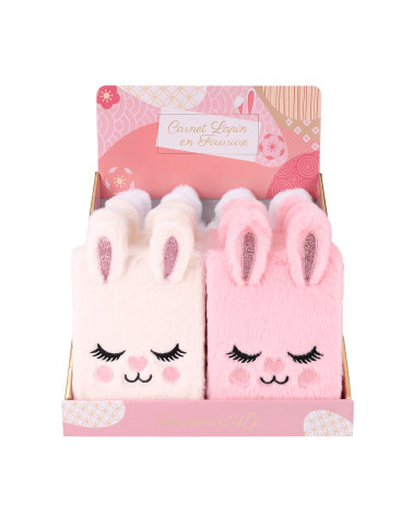 carnets Lapin A5